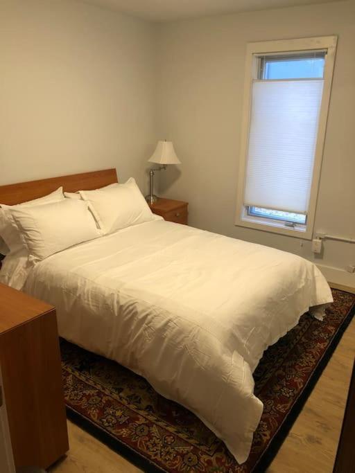 Modern Condo Steps From The Ocean أنكوراج المظهر الخارجي الصورة